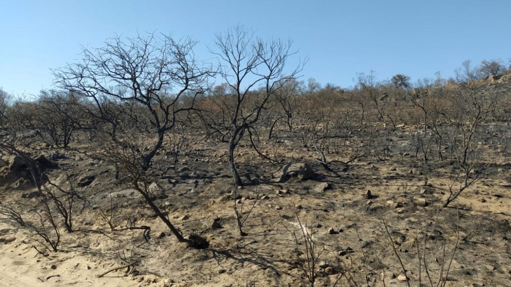 Incendios-Cenizas-Cordoba-fuego-humo-sierras-monte-01